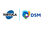 marcas da tortuga DSM