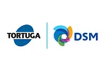 marcas da tortuga DSM